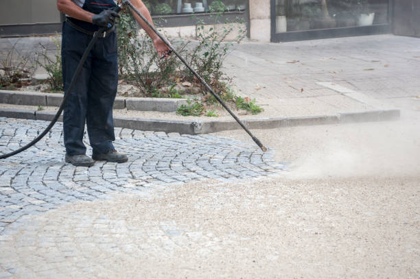 Best Fence Cleaning  in Cloverdale, CA